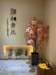 -颜和骨正·明哲式骨相美学整骨