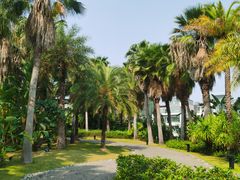 -蓝楹湾度假酒店