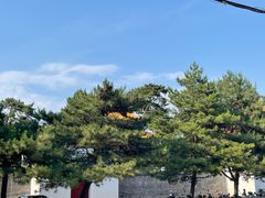 -普陀宗乘之庙(小布达拉宫)