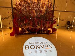 -广州奥园喜来登酒店