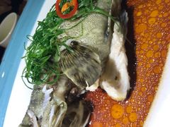 -广东道至正餐厅(区庄店)