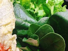 -老长春果木炭涮羊肉(东田·青年城店)