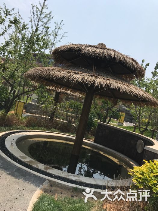 大连鲁能易汤海洋温泉图片 - 第1张