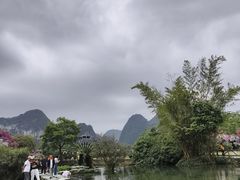 -靖西鹅泉风景区