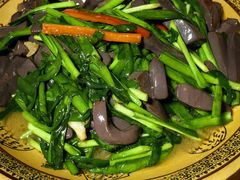 -福山迈臣农家乐