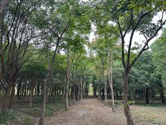 -嘉北郊野公园