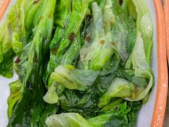 白灼圆生菜-瑞霖·隆江猪脚饭