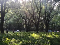-上海海洋大学鱼文化博物馆(军工路校区)