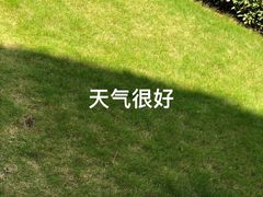 -汉堡王(华发中央公园店)