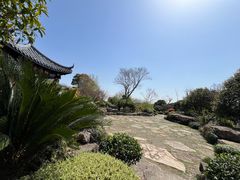 -桐乡凤凰湖