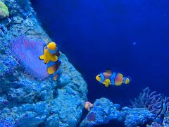 -成都浩海立方海洋公园