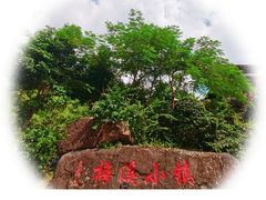 -广东天露山旅游度假区