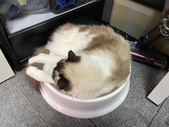 -零纪元VR体验馆·桌游(黄浦店)