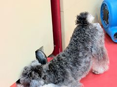 -和它·交个朋友·狗咖猫咖(爱琴海店)