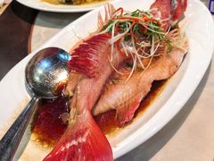 -九號渔港·蒸汽海鲜·粤菜茶点(八卦岭店)