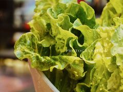 -探牛东北烧烤·铁锅炖大鹅(深圳总店)