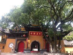 -宝岩生态观光园