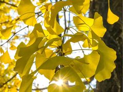 -成都市活水公园