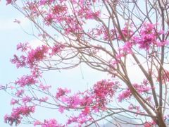 -新城市广场