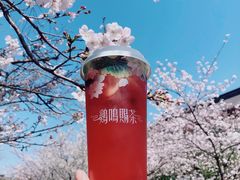 -鸡鸣赐茶(鸡鸣寺路店)