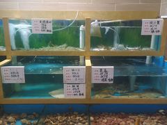 水产区-良师门滨海人家·海鲜·家常菜(滨海城店)
