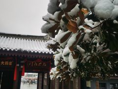 -法门文化景区