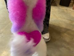 -PETKIT小佩宠物·低压洗护(国顺东路店)