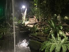-绿光森林餐厅