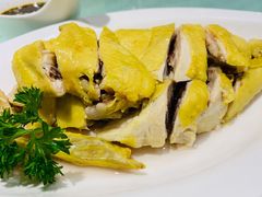 上海白斩鸡-金枝玉叶上海人家食府(三里河店)