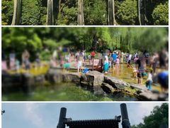 -趵突泉景区