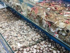 -港畔赶海蒸汽海鲜烧烤自助(仙螺岛店)