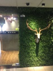 -V-STAR威斯达•高级私人定制