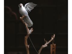 -平遥古城