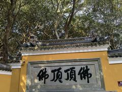 -普陀山风景区-佛顶山