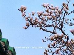 -天坛公园