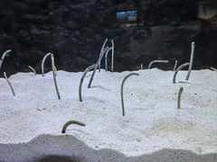 -长沙海底世界