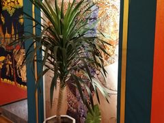 -新泰遇SPA·即派·青春颜艺(维也纳江西大厦店)