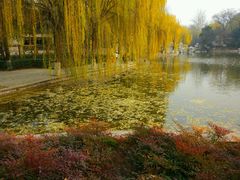 -西安市长乐公园