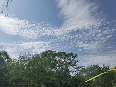 -上海野生动物园