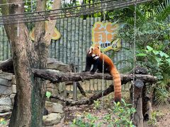 -深圳野生动物园