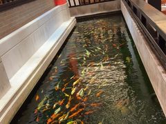 -龙悦湾酒家·八阵鱼生·渔人码头店