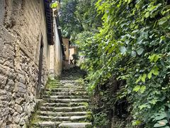 -杨家堂村