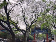 -北京国子监胡同