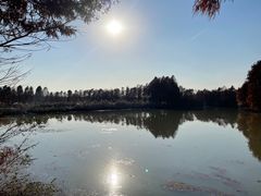 -上海海湾国家森林公园