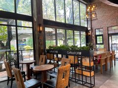 靠窗位-旧雨咖啡·CoffeeFORU(黄村奥体店)
