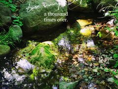 -云岫谷游猎自然风景区