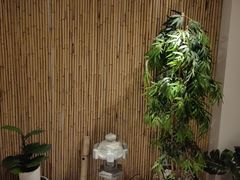 -锦初·禅意4K影院式足道·新中式SPA(茂业天地店)