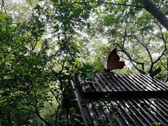 -天目湖山水园