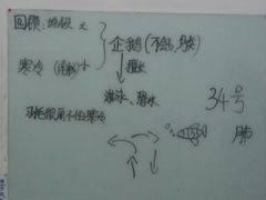 -瓦力工厂机器人编程培训中心(龙德紫金商场店)
