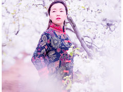合阳梨花-珍爱宝贝摄影